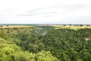 El bosque hundido del desfiladero de Kyambura