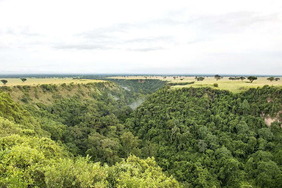 El bosque hundido del desfiladero de Kyambura