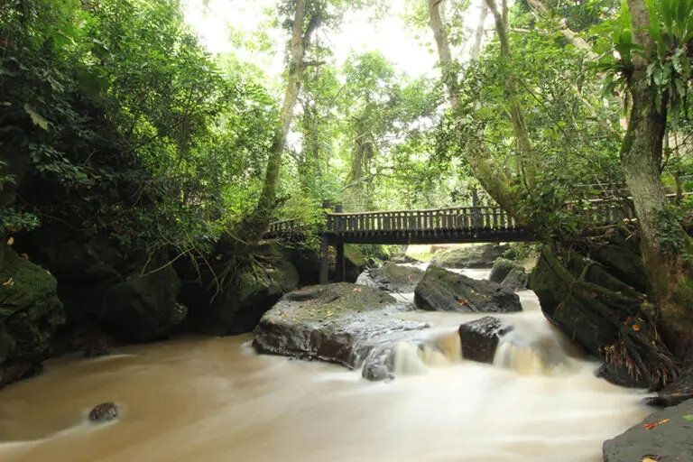 A range of forest trails at Kyambura