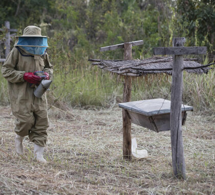 Set up a beekeeping station with Kyambura Gorge Lodge.