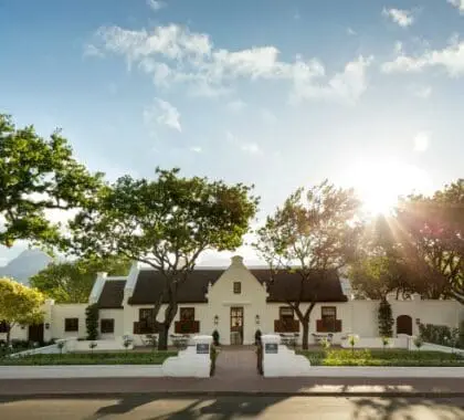 Leeu Estate oferece grandeza, elegância e luxo no coração das Vinhas do Cabo.