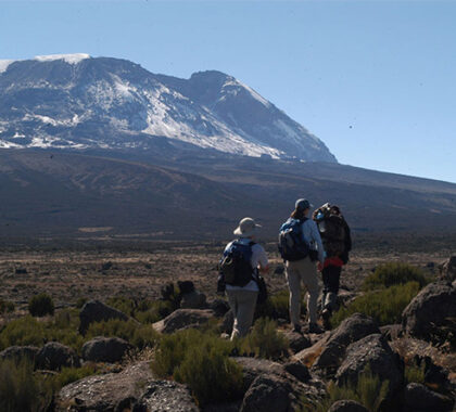 The views of Kilimanjaro's summit is quite spectacular, and you'll see angles of the mountain you wouldn't lower down on the plains.