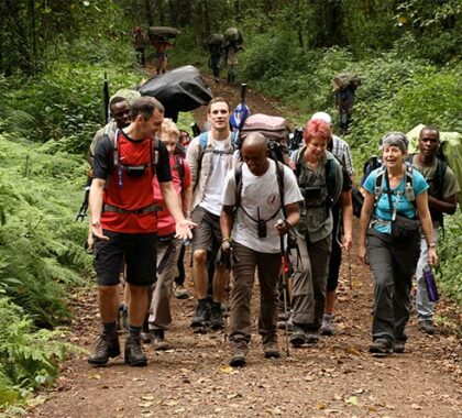 The early stages of the hike takes place in dense forest on the lower slopes; watch as the scenery changes as you ascend.