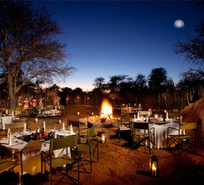 Set under a dazzle of stars, candlelit suppers at Etosha's Mokuti Lodge end a day on safari.