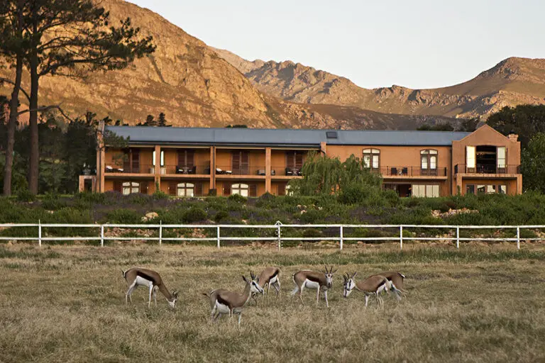 Vida salvaje en La Residence.