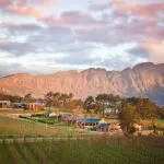 Vista de los viñedos de Franschhoek | La Residence