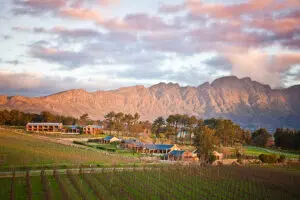 Vista de los viñedos de Franschhoek | La Residence