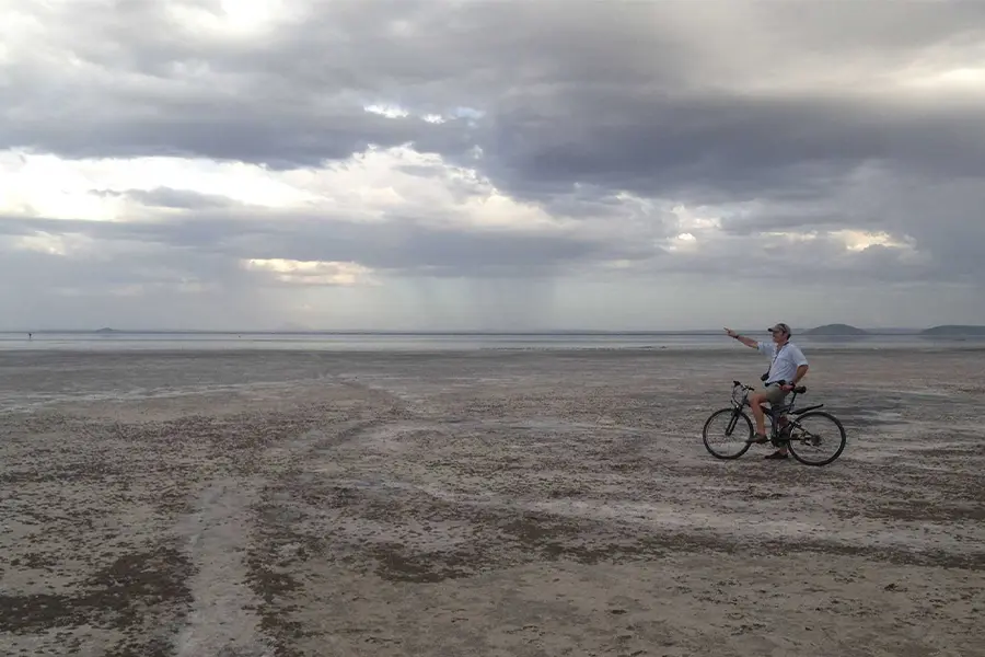 Paseos en bicicleta