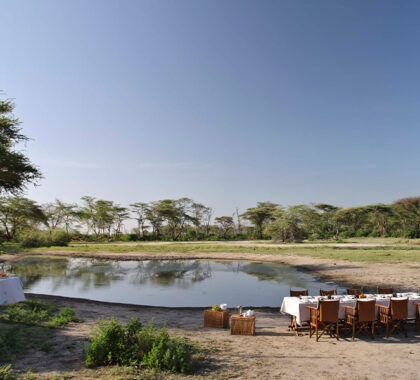 Lake_Manyara_Tree_Lodge_bush-dining