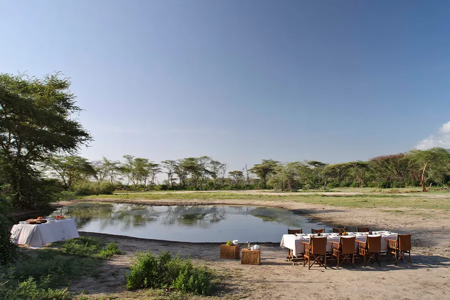 Lake_Manyara_Tree_Lodge_bush-dining