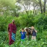 Paseos por el monte y observación de aves