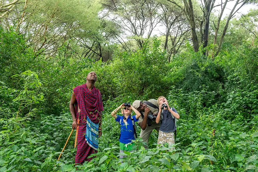 Paseos por el monte y observación de aves