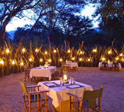 Lake_Manyara_Tree_Lodge_dining-night-time