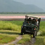 Recorrido de caza