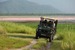 Recorrido de caza
