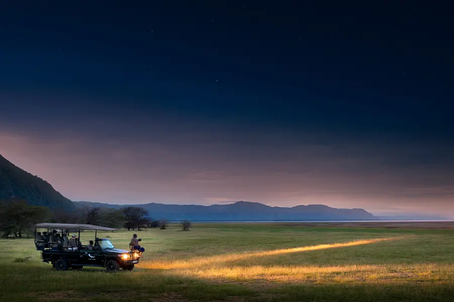 Safari nocturno