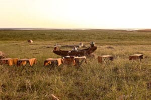 Copas al atardecer en el Lake Manyara Tree Lodge