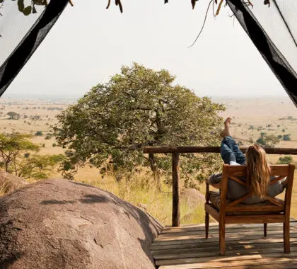 Lamai_serengeti_balcont-with-a-view