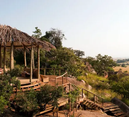 Lamai_serengeti_stairs