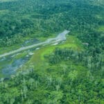 Lango Camp offers the unique opportunity to discover Africa's untouched equatorial rainforests.
