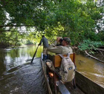 Lango Camp Guided boat trips