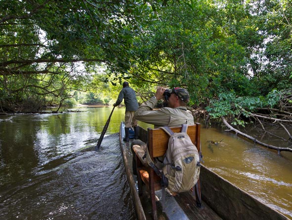 A guided boat trip gives you the chance to spot river-edge monkeys & amazing forest birds.