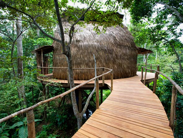 Elevated walkways lead to Lango's thatched rooms, raised high off the ground with 360 degree jungle views.