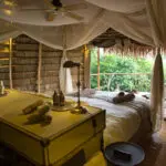 Wake up at dawn to the extraordinary sounds of a rainforest coming to life.