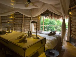 Wake up at dawn to the extraordinary sounds of a rainforest coming to life.