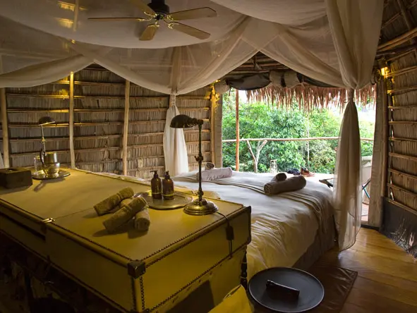 Wake up at dawn to the extraordinary sounds of a rainforest coming to life.
