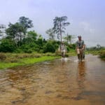 Game viewing at Lango is often conducted on foot in the company of expert guides.