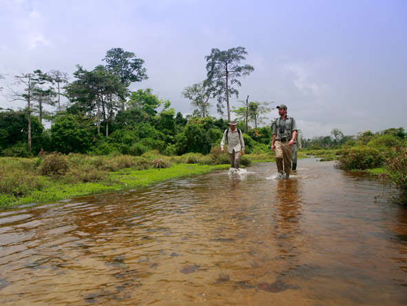 Game viewing at Lango is often conducted on foot in the company of expert guides.