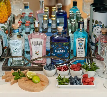 Pruebe algo de la colección de ginebra. 
