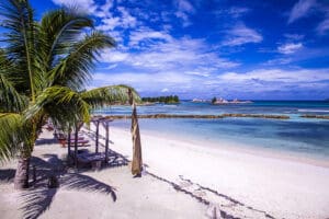 Pase el día en la playa a la sombra de una sala de playa y una palmera.
