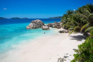 Las inmaculadas playas de las Seychelles, bordeadas de palmeras y salpicadas de cantos rodados.