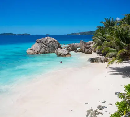 Les plages vierges des Seychelles, bordées de palmiers et parsemées de rochers.