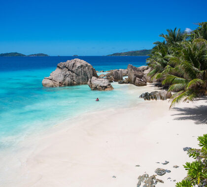 Seychelles' pristine palm-lined, boulder-dotted beaches.