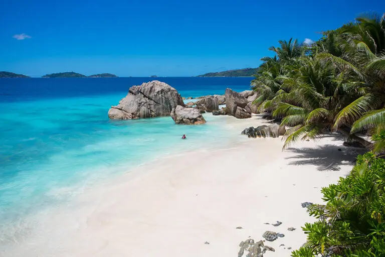 Las inmaculadas playas de las Seychelles, bordeadas de palmeras y salpicadas de cantos rodados.