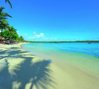 The resort is fringed with white sandy beaches and palm trees
