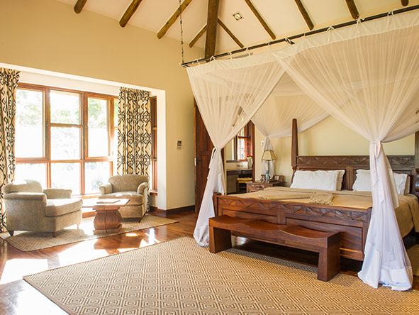 Muted, organic colours & golden sunlight create a calm ambience in the suites.
