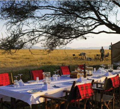 Outdoor seating areas allow you to take in the Serengeti in utter peace and tranquillity.
