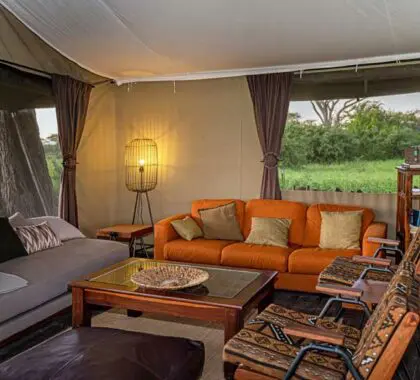 lemal-mara-lounge