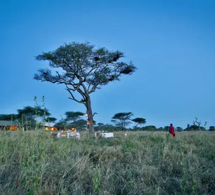 lemala-ewanjan-bush-dinner