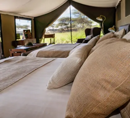 lemala-ewanjan-standard-tented-room_1