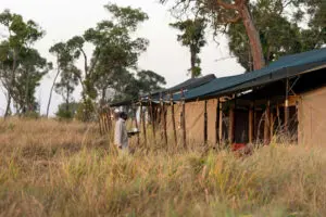 lemala-mara-tent_3
