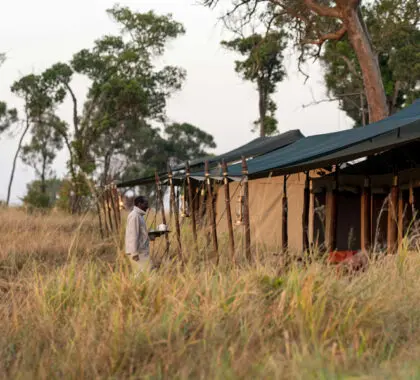 lemala-mara-tent_3