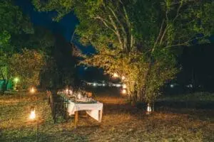 lemala-mara-bush-dinner