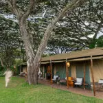 Lemala Ngorongoro 