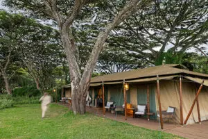 Lemala Ngorongoro 