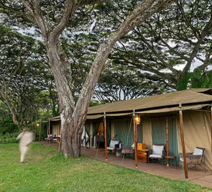 Lemala Ngorongoro 